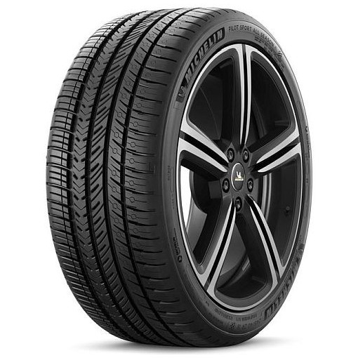 Neumatico Michelin 255/55 Zr20 110Y Extra Load Tl Pilot Sport A/S 4  Mi