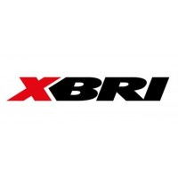 XBRI